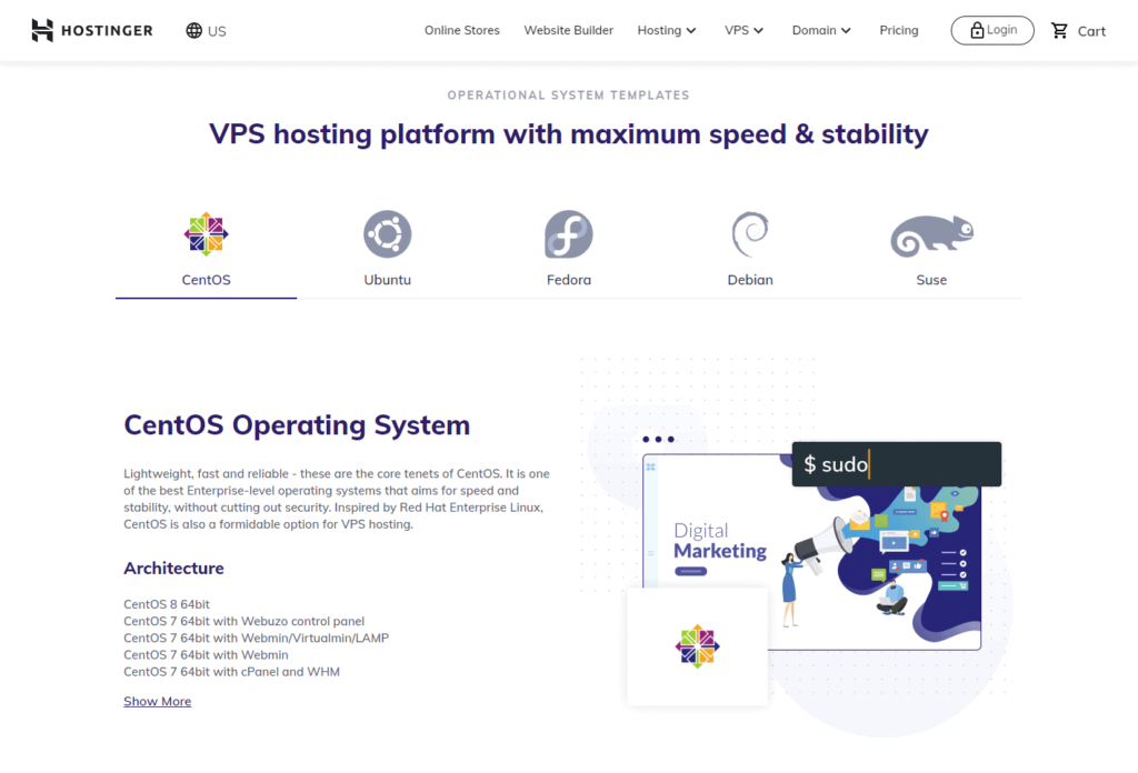 Hostinger VPS hosting review